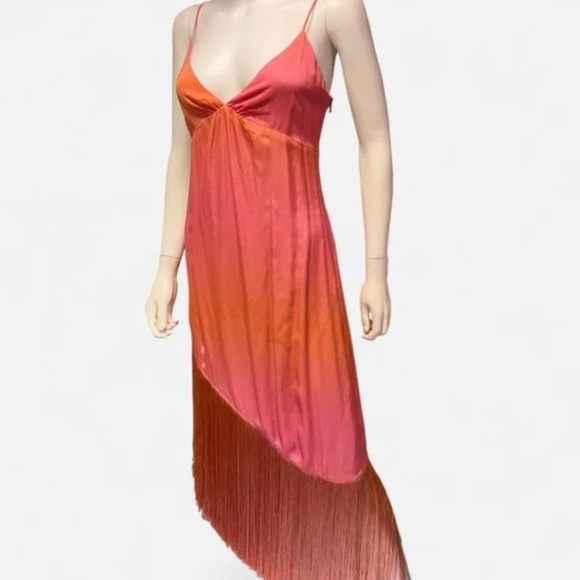 Cult Gaia Tiana Fringe Dress - M - Picture 3 of 6